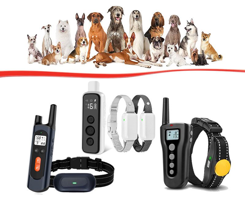 IoT Wifi Dog Training Collar Upgrade Service image 0